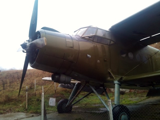 DSC_0835 (800x600).jpg